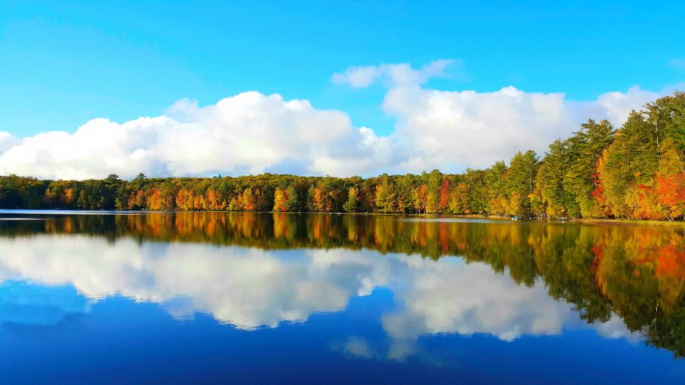 autumn-on-sand-lake