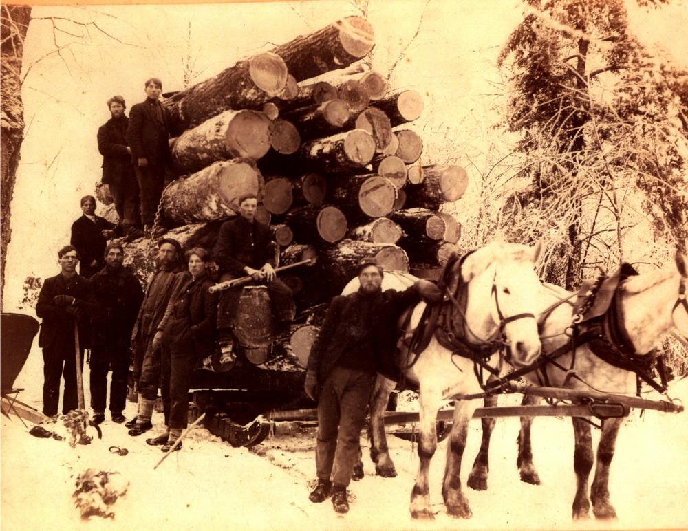 logging-early-1900s